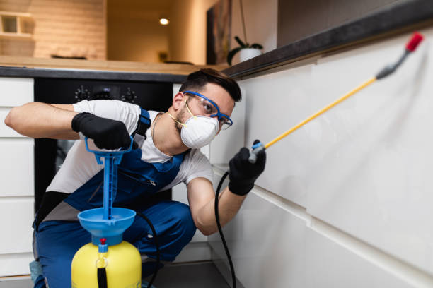 Flea Control Services in Shortsville, NY