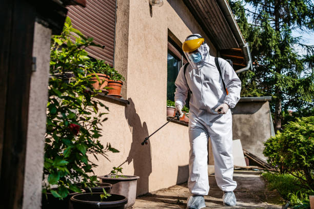 Best Pest Control Treatment  in Shortsville, NY