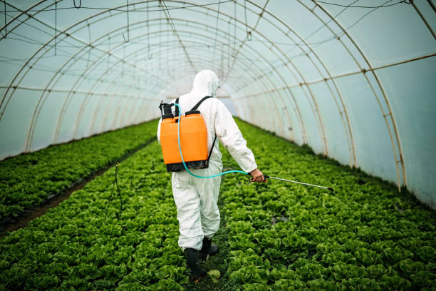 Best Pest Removal Services  in Shortsville, NY