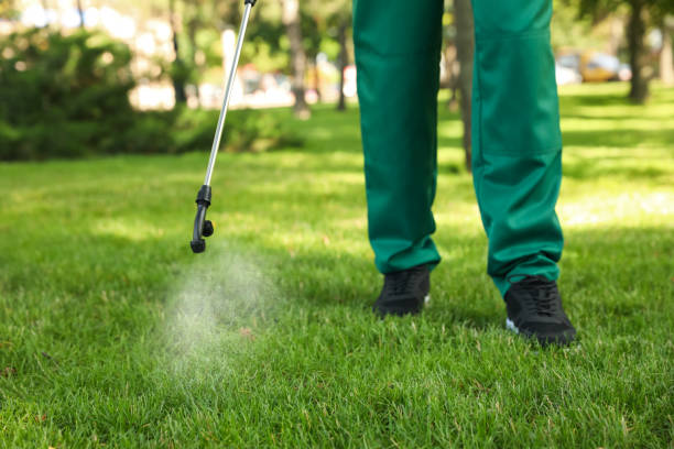 Best Local Pest Control Services  in Shortsville, NY