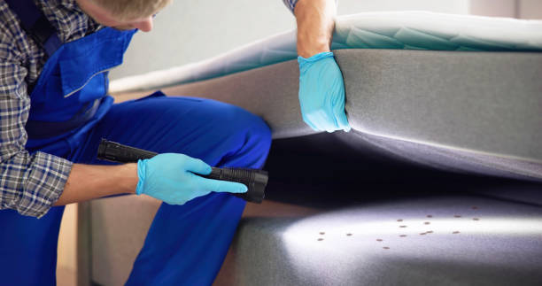 Best Insect Control  in Shortsville, NY