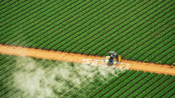 Best Commercial Pest Control Services  in Shortsville, NY