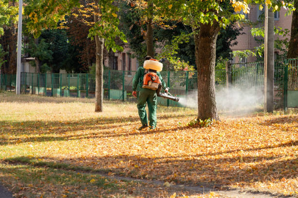 Best Flea Control Services  in Shortsville, NY