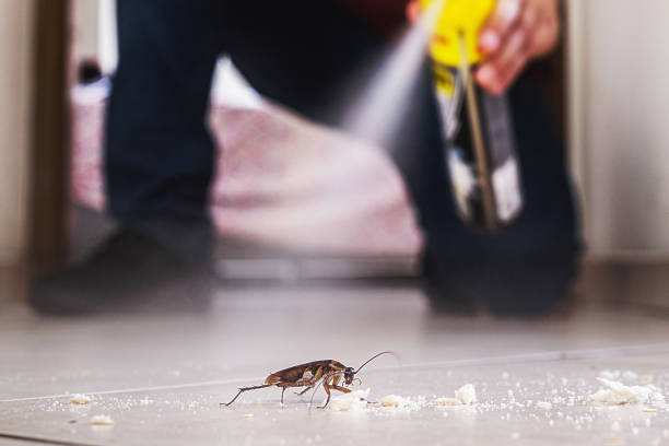 Best Exterminator Services  in Shortsville, NY